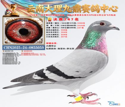 大理九鼎决赛247名