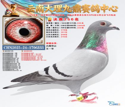 大理九鼎决赛250名