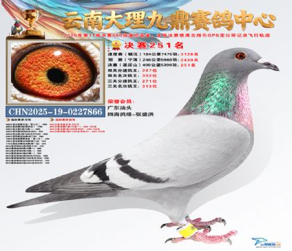 大理九鼎决赛251名