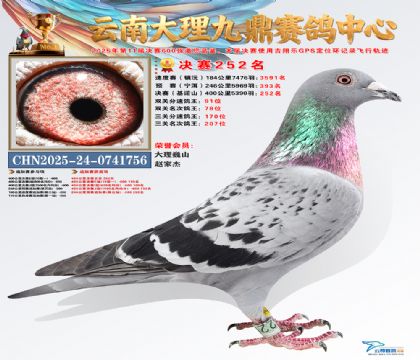 大理九鼎决赛252名