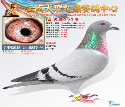 大理九鼎决赛253名