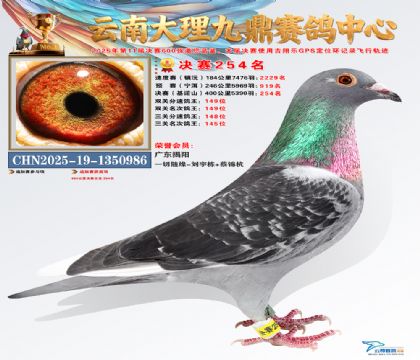 大理九鼎决赛254名