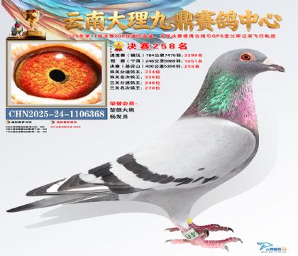 大理九鼎决赛258名