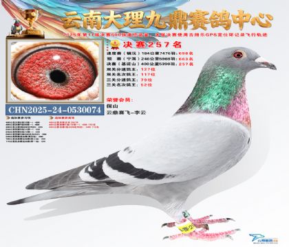 大理九鼎决赛257名