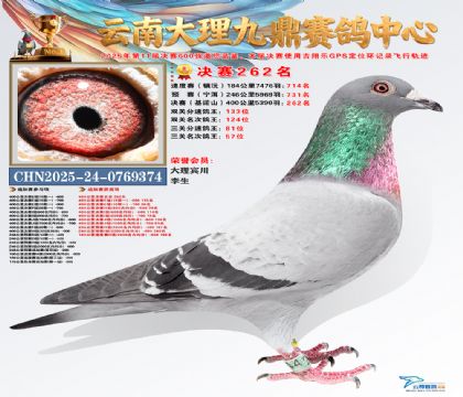 大理九鼎决赛262名