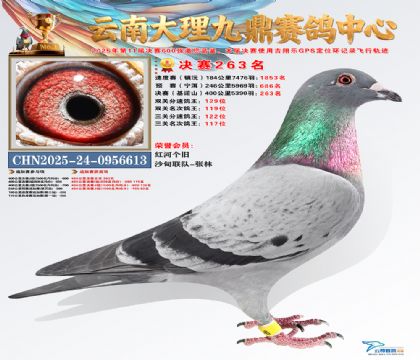 大理九鼎决赛263名