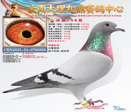 大理九鼎决赛264名