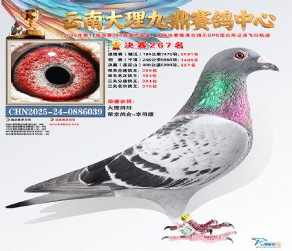 大理九鼎决赛267名