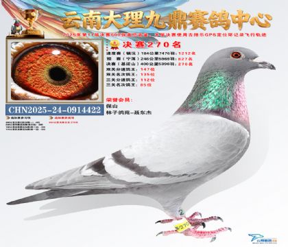 大理九鼎决赛270名