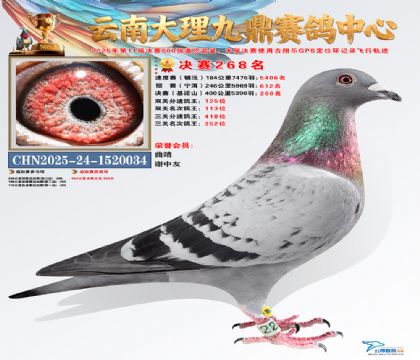 大理九鼎决赛268名