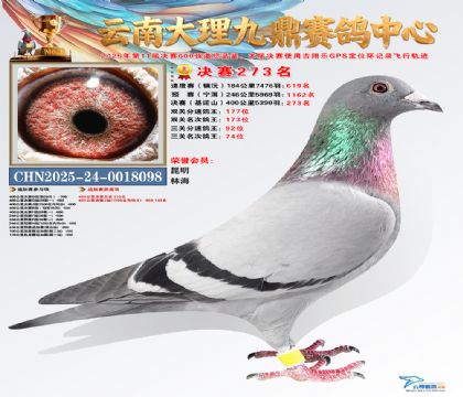 大理九鼎决赛273名