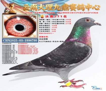 大理九鼎决赛271名