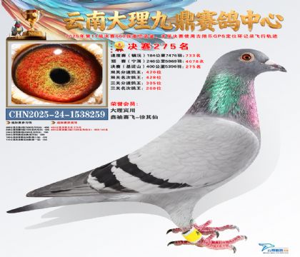 大理九鼎决赛275名