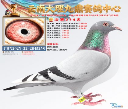 大理九鼎决赛274名