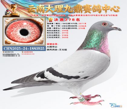 大理九鼎决赛278名