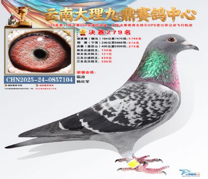 大理九鼎决赛279名