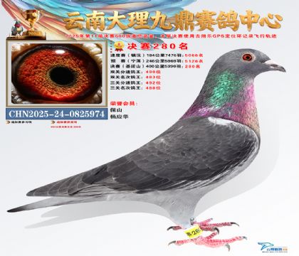 大理九鼎决赛280名