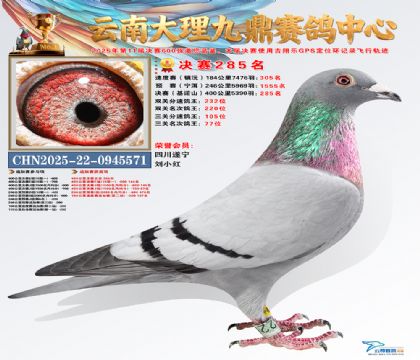 大理九鼎决赛285名