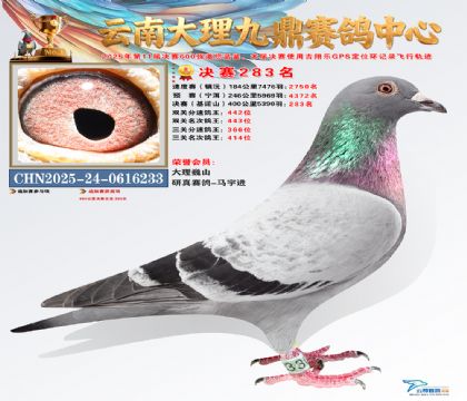 大理九鼎决赛283名