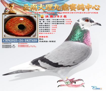 大理九鼎决赛282名