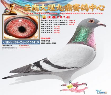 大理九鼎决赛287名