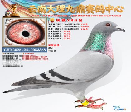 大理九鼎决赛286名