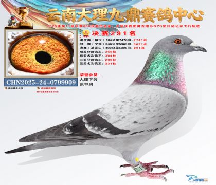 大理九鼎决赛291名