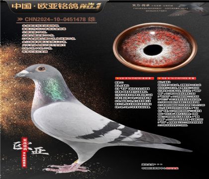 �w��ԭ����?sh��)�ֱ�?83X��?sh��)�ֱ�?99