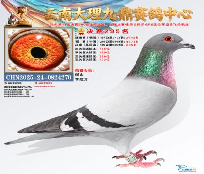 大理九鼎决赛295名