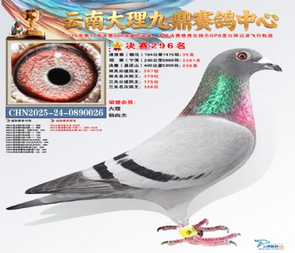 大理九鼎决赛296名