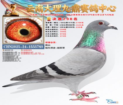 大理九鼎决赛298名