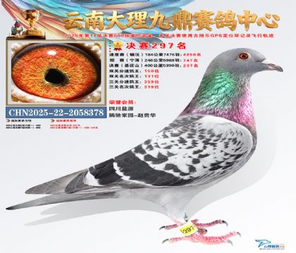 大理九鼎决赛297名