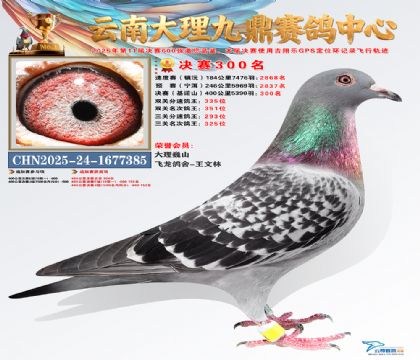 大理九鼎决赛300名