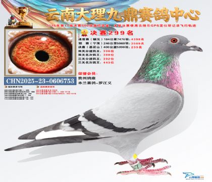 大理九鼎决赛299名