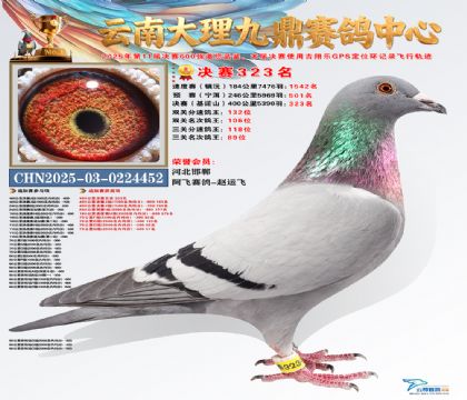 大理九鼎决赛323名