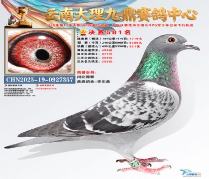 大理九鼎决赛581名