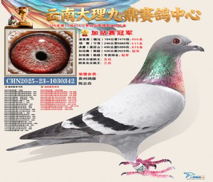 大理九鼎加站赛冠军