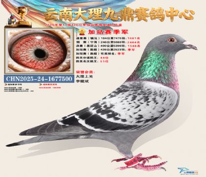 大理九鼎加站赛季军