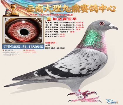 大理九鼎加站赛亚军