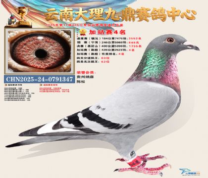 大理九鼎加站赛4名