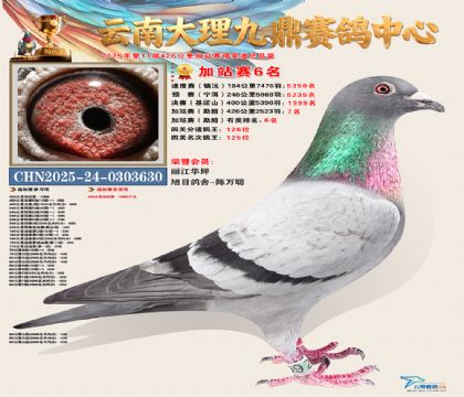 大理九鼎加站赛6名