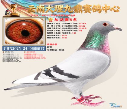 大理九鼎加站赛5名