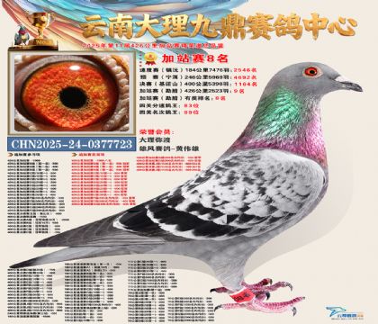 大理九鼎加站赛8名