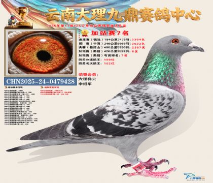 大理九鼎加站赛7名