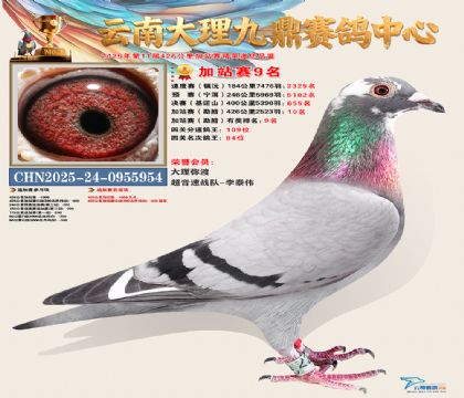 大理九鼎加站赛9名