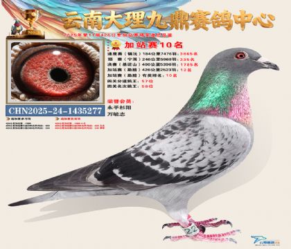 大理九鼎加站赛10名