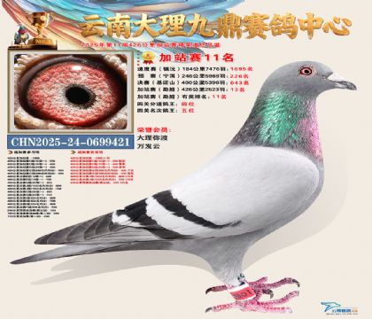 大理九鼎加站赛11名