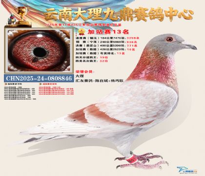 大理九鼎加站赛13名