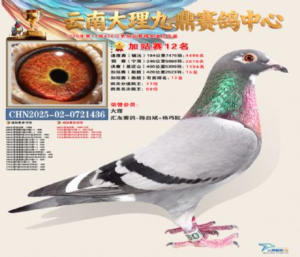 大理九鼎加站赛12名