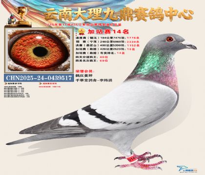 大理九鼎加站赛14名